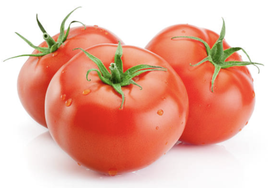 Fresh Tomato