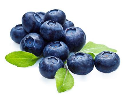 BLUEBERRY PKT