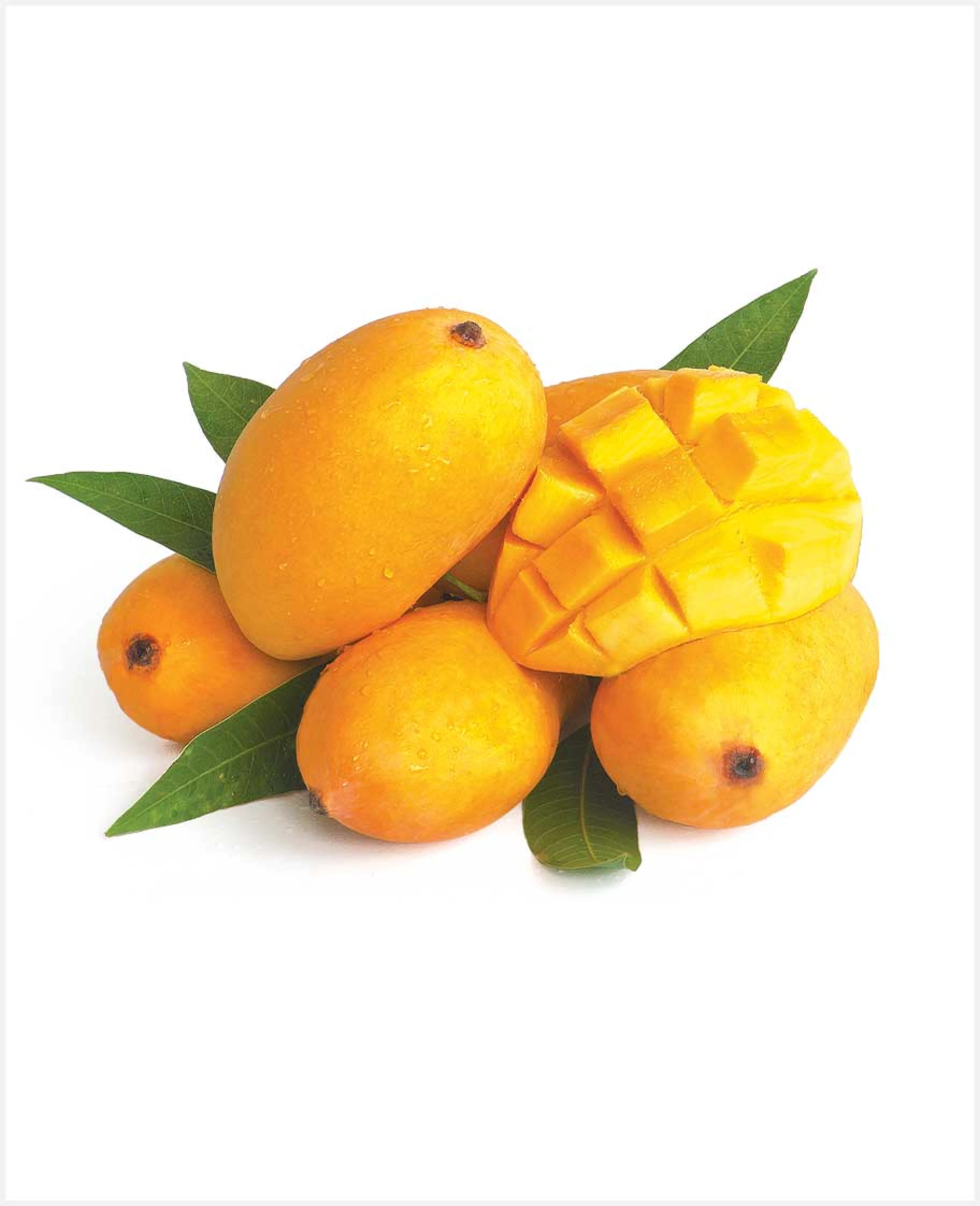 Pakistan Mango