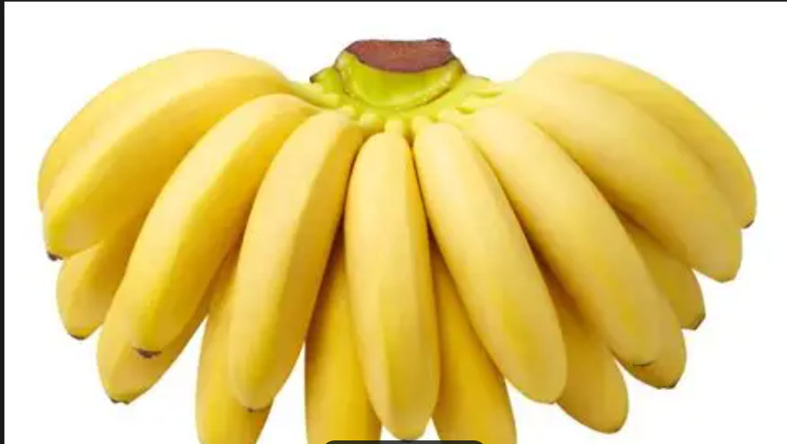 BANANA BIG INDIA