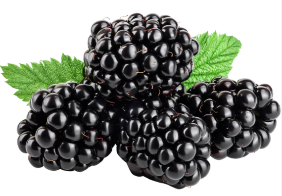 BLACKBERRY PKT