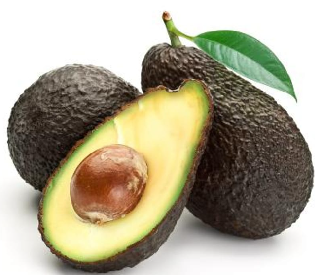 AVOCADO HASS